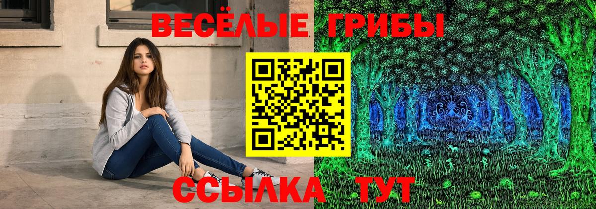 Галлюциногенные грибы GOLDEN TEACHER  Вход с VPN  что такое наркотик  Михайловск  Галлюциногенные грибы Magic Shrooms 